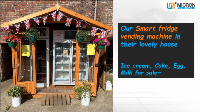 Sistema de refrigeração do congelador da máquina de venda automática do gelado com o leitor de cartão do tela táctil no Reino Unido