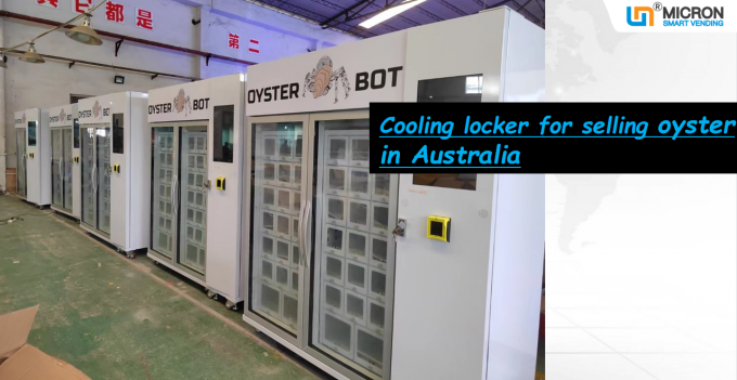 Máquina de venda automática da ostra com desembaraço de aquecimento elétrico do sistema de refrigeração e dos cacifos 24V