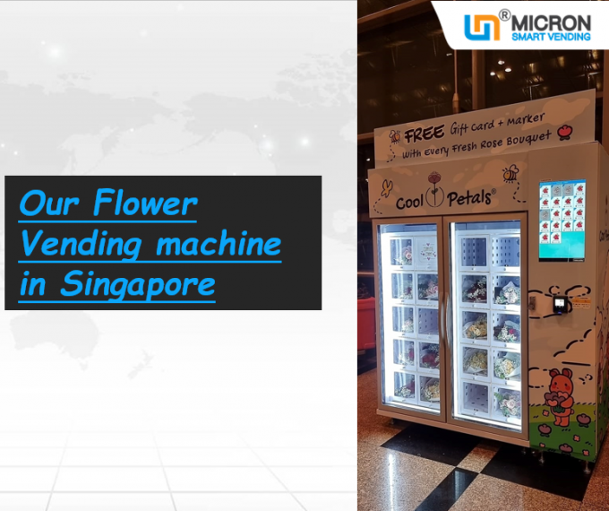 Accept personaliza a máquina de venda automática da E-carteira para vender o cigarro do alimento da bebida do petisco