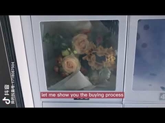 22 Inch Frozen Vending Machine For Meat Cheese Ice Cream Locker Size Customized