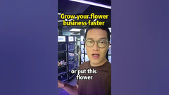 Ei proprietários de floristas temos uma solução para impulsionar o seu negócio de flores, máquina de venda de flores frescas