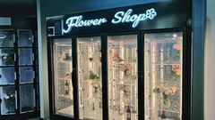 Máquina automática de flores frescas, cacifo transparente na geladeira.