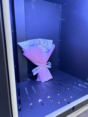 Novo design de armário máquina de venda de flores frescas com função de resfriamento 32 polegadas touch screen light box para branding