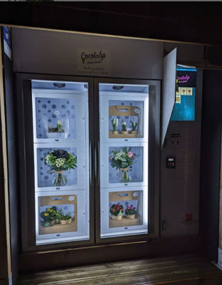Max.14 Máquina de venda automática de caixotes de mercadorias com compressor de gás verde R290