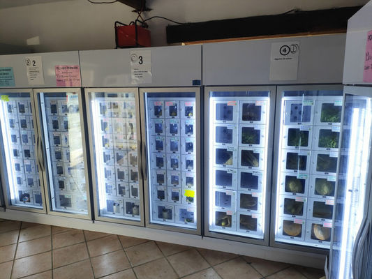 Máquina distribuidora de ovos Android 11 para produtores agrícolas em pequena escala 24/7 conveniência e eficiência